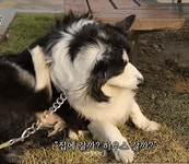 둘이 대화가 통한다 ㅋ - 김현중 갤러리