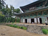 혼여족을 위한 혼자 걷기 좋은길 공주 마곡사 트레킹 코스