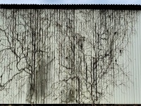 남파랑길 13코스(12코스 당항만둘레길 쉼터~13코스 화당방파제)를 걷다 - ♣남파랑길 후기 - 대전한겨레산악회 남파랑길 13코스(12코스... 