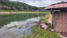 바람따라 구름따라 1383회( 산양천) :: 토종붕어를 사랑하는 사람들