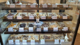 [멍냥스터디] 대구 반려동물 토탈 케어 교육 ‘함개하자냥’