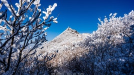 여행기 - 소백산 상고대 2020.12.26