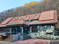 청룡의 해 새해맞이 소백산 등산, DB손해보험 DB산악회