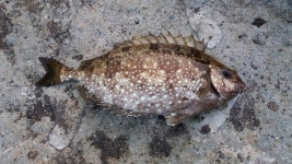 6월 첫 연휴 갈도 2박3일 야영(1)