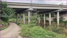 바람따라 구름따라 1375회( 안평천) :: 토종붕어를 사랑하는 사람들