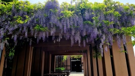 정책/칼럼 - 미리 가본 공주 석장리구석기축제 - 충청남도 미리 가본 공주 석장리구석기축제