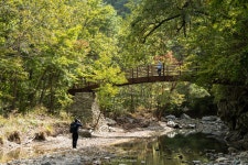 여행기 - 주왕산, 둥근잎꿩의비름 2020.10.09