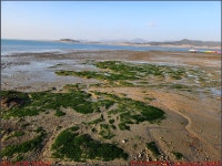 231208, 함평 돌머리, 해품솔펜션 전망대 돌머리해수욕장 무지개다리... 돌머리, 해품솔펜션 전망대 돌머리해수욕장 무지개다리... 