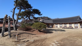 예천 금당실 마을, 전통문화와 자연의 아름다움을 한자리에서