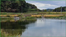 한화구미OB조우회 10월정출 후기 :: 토종붕어를 사랑하는 사람들