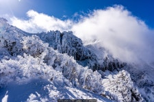 여행기 - 한라산, 겨울꽃에 파아란 바람이 불던 날 -2-