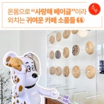 [로템슐랭] 베이글에 진심인 창원 ‘사랑해베이글’