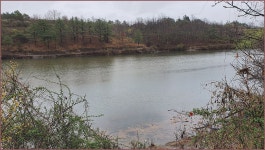 토붕사 형제봉조우회 4월정출 :: 토종붕어를 사랑하는 사람들