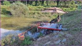 바람따라 구름따라 1283회( 상노장지 ) :: 토종붕어를 사랑하는 사람들