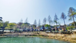알리스타 케냐커피 창녕점, 명덕지 뷰를 감상할 수 있는 예쁜 애견동반카페