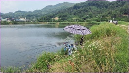 바람따라 구름따라 1252회( 웅곡지) :: 토종붕어를 사랑하는 사람들