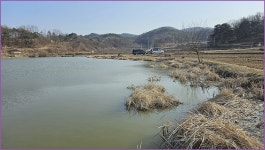 바람따라 구름따라 1429회( 장안지 ) :: 토종붕어를 사랑하는 사람들