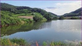 바람따라 구름따라 1344회( 안리저수지 ) :: 토종붕어를 사랑하는 사람들