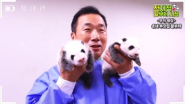 더쿠 - 남의 아기들은 빨리 큰다는 걸 보여준 쌍둥바오.gif