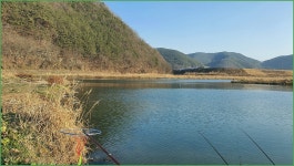 바람따라 구름따라 1120회( 신반천 ) :: 토종붕어를 사랑하는 사람들