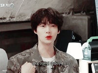 더쿠 - 낭만돼지 김준현 서인국 안재현 뉴짤2.gif 스압주의