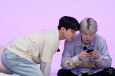 더쿠 - 양꼬치즈 넘 조아