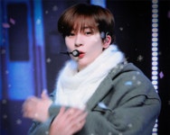 더쿠 - 톤톤이 추웡