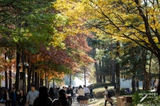 서울 성동구 서울숲 : 클리앙