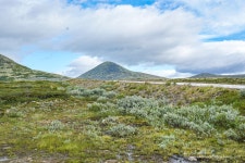 노르웨이 자동차 여행 - Rondane (Norwegian Scenic Route) : 클리앙