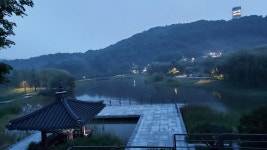 夜야 景경 散策산책 - 수도여고 14회
