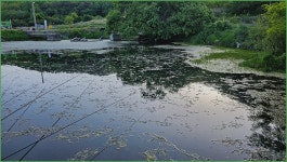 바람따라 구름따라 1439회( 석화소류지) :: 토종붕어를 사랑하는 사람들