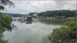 바람따라 구름따라 1262회( 반제낚시터) :: 토종붕어를 사랑하는 사람들