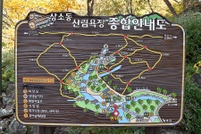 대전 상소동산림욕장에서 본, 가을이 그린 수채화 - 뽐뿌:자유게시판 대전 상소동산림욕장에서 본, 가을이 그린 수채화