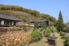 안동카페 통일신라시대 탑뷰(실제 국보)를 볼 수 있는 안동 탑동103 카페
