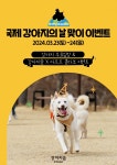강아지숲, 국제 강아지의 날 기념 특별 이벤트 진행