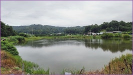 동행 출조 ( 물량지) :: 토종붕어를 사랑하는 사람들