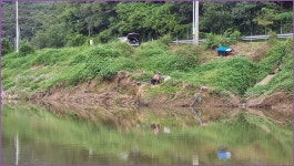 바람따라 구름따라 1375회( 안평천) :: 토종붕어를 사랑하는 사람들