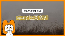 두피가 따갑다면? 춥고 건조한 날씨에 고민인 두피 건조증 해결법!