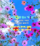 수양관. 농어촌민박. 촬영장) 빵카페 구상도첨부 - ◎전원주택,펜션 - 전원주택.귀농 귀촌사랑 섬진강과 보성강 아름다운 휴양지 건물 +토지... 