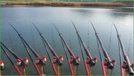 바람따라 구름따라 1120회( 신반천 ) :: 토종붕어를 사랑하는 사람들