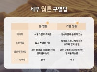 나에게 딱 맞는 컬러진단, 퍼스널컬러 알아보기