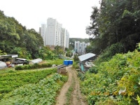 안동 다래등(294),감은산(250),무은산(245.1),향교산(239),깃대배기... 1),향교산(239),깃대배기(217),덤산(261.5),일출봉(278.3)