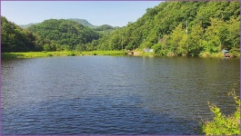 소류지 기행 :: 토종붕어를 사랑하는 사람들