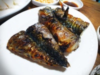 가생이닷컴>커뮤니티 > 여행/맛집 > <부산/부평동/남포동 맛집> 고등어 구이가 맛있는유성실비