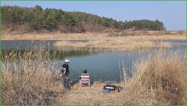 바람따라 구름따라 1130회( 서포수로 ) :: 토종붕어를 사랑하는 사람들