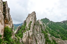 지성에서 영성으로/석주길(8./1) - 풍경 갤러리 - 대광산김씨 일가종친회 지성에서 영성으로/석주길(8./1)
