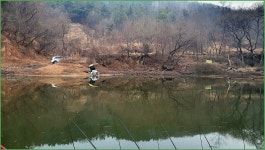 바람따라 구름따라 1136회( 밤실지) :: 토종붕어를 사랑하는 사람들