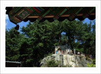 비계산,우두산(9월17일).. - ♥회원 (꽃)*산행기(05~) - 산과 야생화 산과 야생화