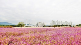 경기/양주 카테고리의 글 목록