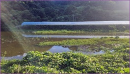 바람따라 구름따라 1265회( 백역저수지) :: 토종붕어를 사랑하는 사람들